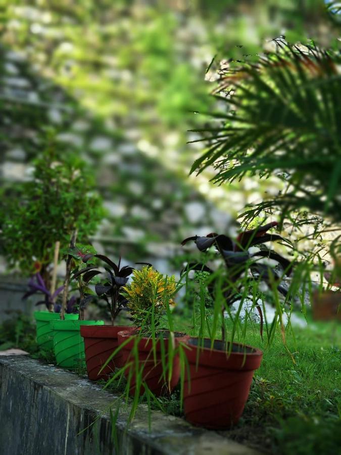 Nature Villa Rishīkesh 外观 照片