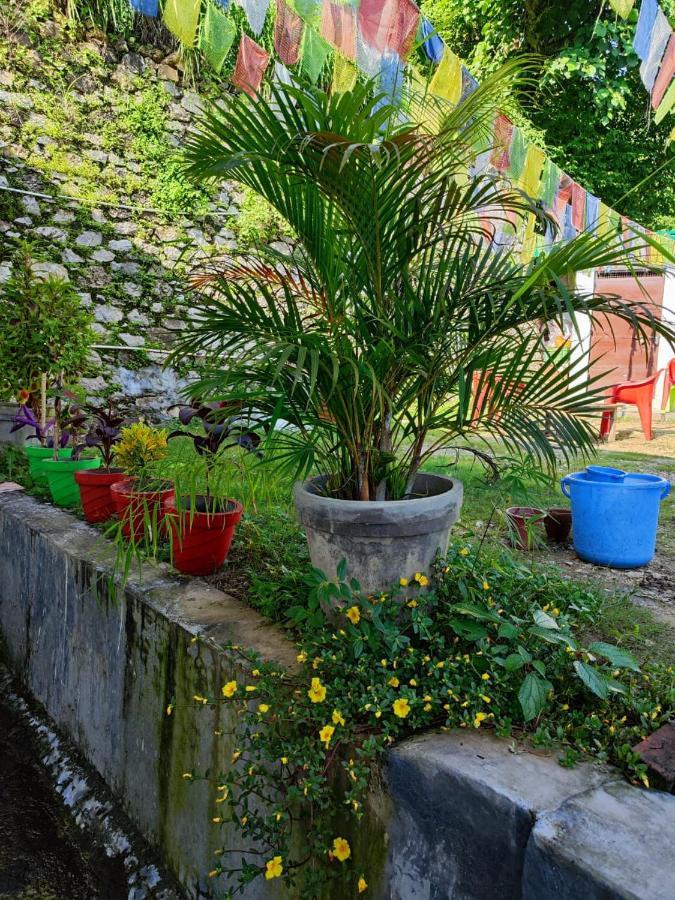 Nature Villa Rishīkesh 外观 照片