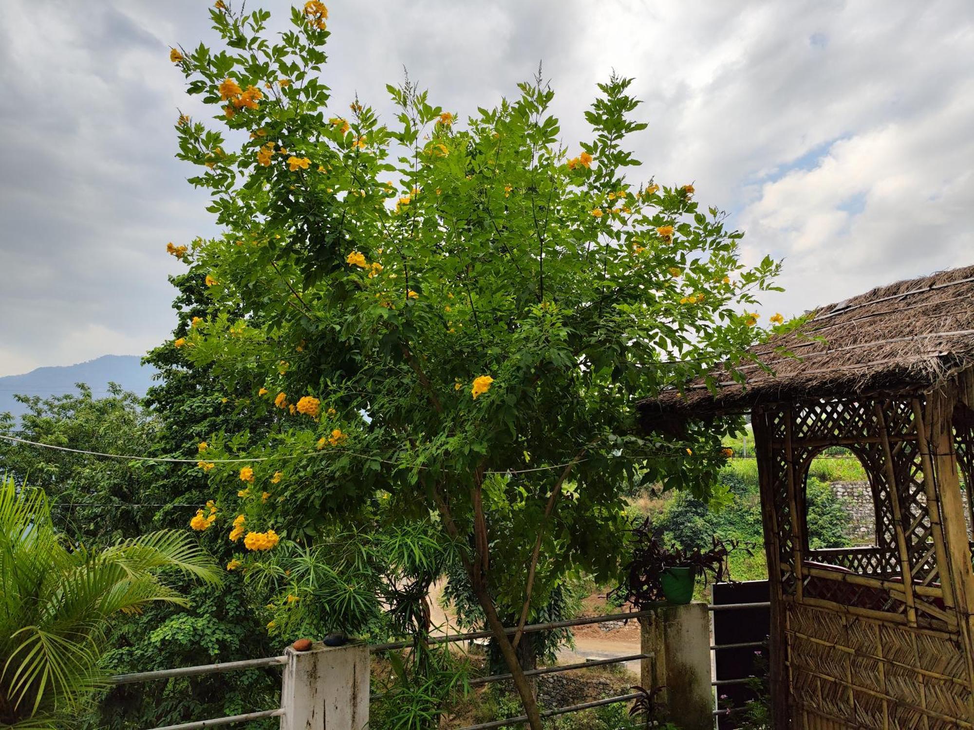 Nature Villa Rishīkesh 外观 照片